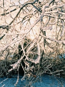 Winter of the Soul