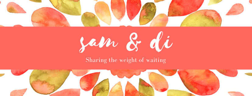 sam and di blog update
